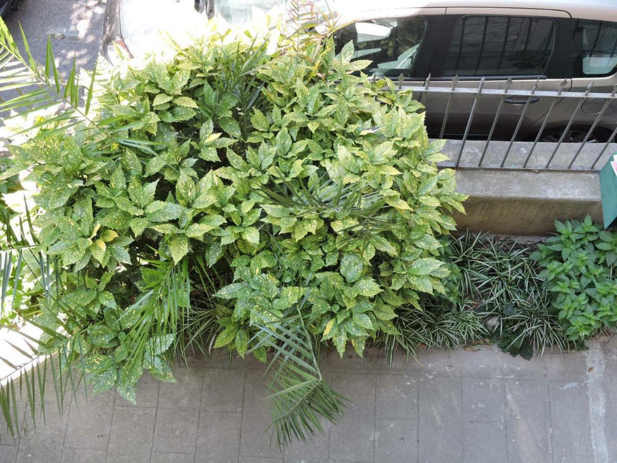 Nice/Nizza : Apartment Dış mekan fotoğraf